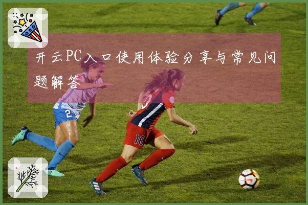 开云PC入口使用体验分享与常见问题解答
