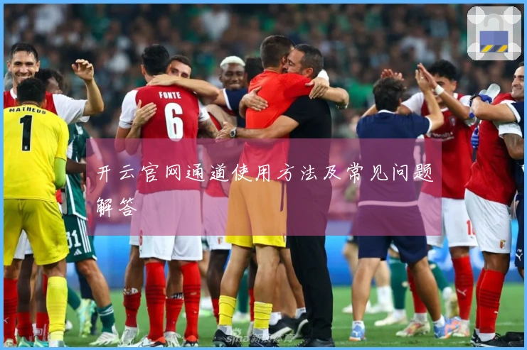 开云官网通道使用方法及常见问题解答